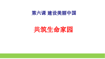 《共筑生命家园》PPT课件1-统编版九年级上册道德与法治