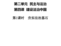 《夯实法治基石》PPT课件1-统编版九年级上册道德与法治