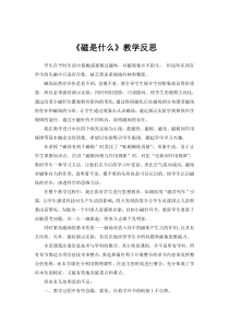 《第一节 磁是什么》教学反思-九年级物理全一册【沪科版】