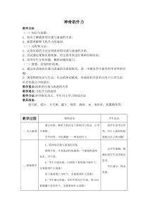 《4. 神奇的升力》教学设计4-八年级物理下册【粤沪版】