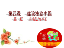 《夯实法治基石》PPT课件3-统编版九年级上册道德与法治