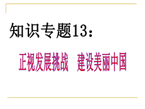 《正视发展挑战》PPT课件3-统编版九年级上册道德与法治