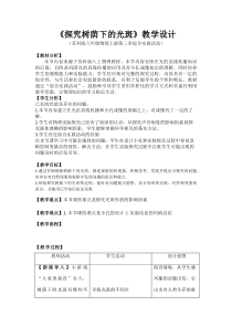 《探究树荫下的光斑》教学设计5-八年级物理上册【苏科版】