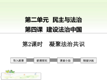 《凝聚法治共识》PPT课件2-统编版九年级上册道德与法治