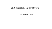 《综合实践活动：树荫下的光斑》PPT课件1-八年级物理上册【苏科版】