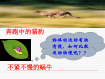 《二、速度》PPT课件4-八年级物理上册【苏科版】