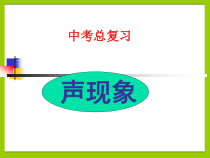 《声现象中考总复习》PPT课件4-八年级物理上册【苏科版】