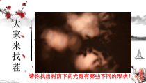 《综合实践活动：探究树荫下的光斑》PPT课件6-八年级物理上册【苏科版】