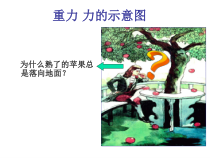 《二、重力 力的示意图》PPT课件4-八年级物理下册【苏科版】