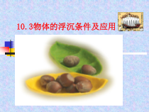 《五、物体的浮与沉》PPT课件2-八年级物理下册【苏科版】