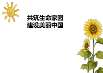 《共筑生命家园》PPT课件4-统编版九年级上册道德与法治