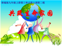 《共筑生命家园》PPT课件3-统编版九年级上册道德与法治