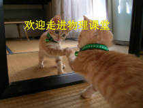 《三、学生实验：探究——平面镜成像的特点》PPT课件4-八年级物理上册【北师大版】