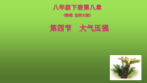 《四、大气压强》PPT课件1-八年级物理下册【北师大版】