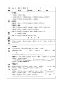 《二、磁场》教学设计2-九年级物理全册【北师大版】
