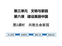 《共筑生命家园》PPT课件5-统编版九年级上册道德与法治