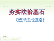 《夯实法治基石》PPT课件4-统编版九年级上册道德与法治