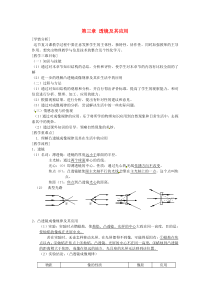 第五章《透镜及其应用》复习教案-八年级物理上册【人教版】