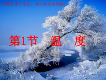 3.1《温度》PPT课件3-八年级物理上册【人教版】