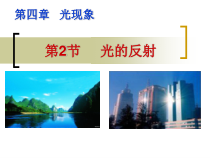 4.2《光的反射》PPT课件5-八年级物理上册【人教版】
