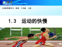 1.3《运动的快慢》PPT课件7-八年级物理上册【人教版】