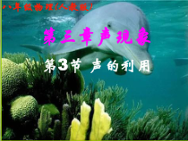 2.3《声的利用》PPT课件2-八年级物理上册【人教版】
