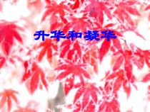 3.4《升华和凝华》PPT课件1-八年级物理上册【人教版】