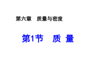 6.1《质量》PPT课件6-八年级物理上册【人教版】