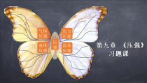 第九章《压强》复习课PPP课件2-八年级物理下册【人教版】