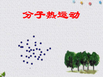 13.1《分子热运动》PPT课件4-九年级物理全一册【人教版】