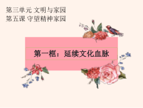 《延续文化血脉》PPT课件2-统编版九年级上册道德与法治