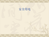 19.3《安全用电》PPT课件5-九年级物理全一册【人教版】