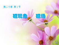 20.1《磁现象 磁场》PPT课件4-九年级物理全一册【人教版】