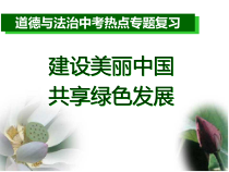 《正视发展挑战》PPT课件4-统编版九年级上册道德与法治