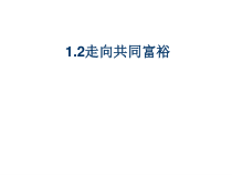 《走向共同富裕》PPT课件4-统编版九年级上册道德与法治