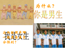 《成长中的他和她》PPT课件-八年级心理健康【鄂科版】