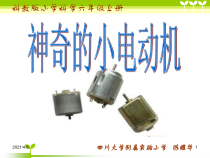 教科版六年级科学上册《神奇的小电动机》课件2