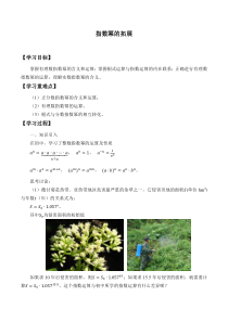 北师大版（2019）高中数学必修第一册：3.1《指数幂的拓展》学案