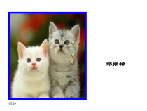 部编版七年级初一语文上册《猫》课件（校内公开课）