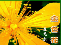 部编版七年级初一语文上册《金色花》课件（校内公开课）