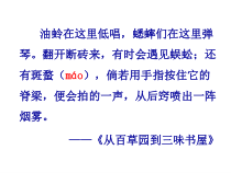 部编版七年级初一语文上册《朝花夕拾》导读课课件（区级公开课定稿）