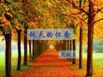 部编版七年级初一语文上册《秋天的怀念》课件（校内教研公开课）