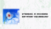 部编版七年级初一语文上册《雨的四季》课件（教研公开课）