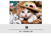 部编版七年级初一语文上册《猫》课件（校级公开课二稿）