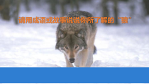 初一语文七年级上册《狼》课件（公开课）