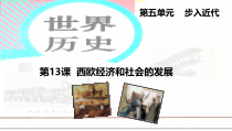 《第13课 西欧经济和社会的发展》PPT课件21-人教版部编历史九年级上册
