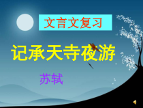 初一语文部编版七年级上册《记承天寺夜游》复习课件（公开课定稿）