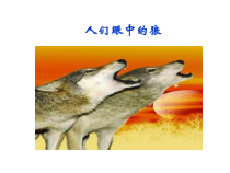 部编版初一语文七年级上册《狼》课件（公开课）