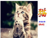 初一语文部编版七年级上册《猫》课件（公开课定稿）