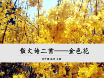 初一语文部编版七年级上册《散文诗二首-金色花》课件（公开课定稿）